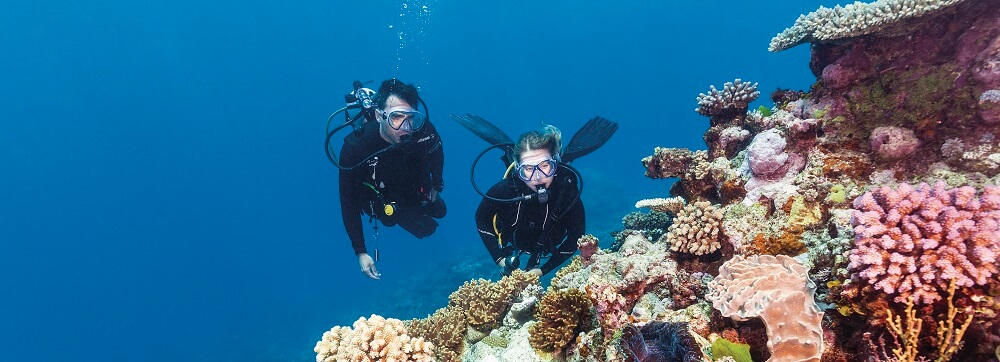 Basic Scuba Diving Rules in the Great Barrier Reef