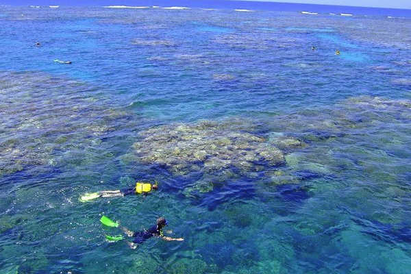 Snorkel at the Great Barrier Reef