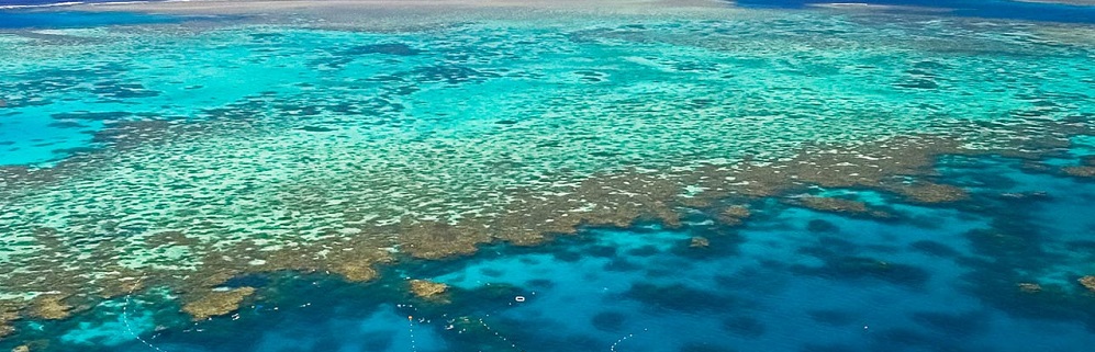 Top 5 Things to Do in the Great Barrier Reef