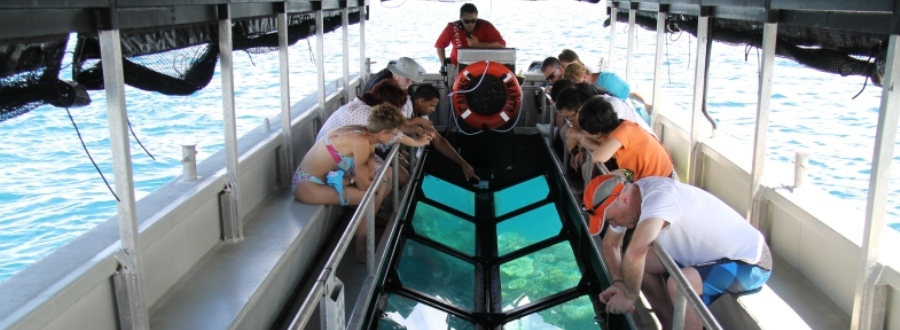 Glass Bottom Boat – A window into The Great Barrier Reef
