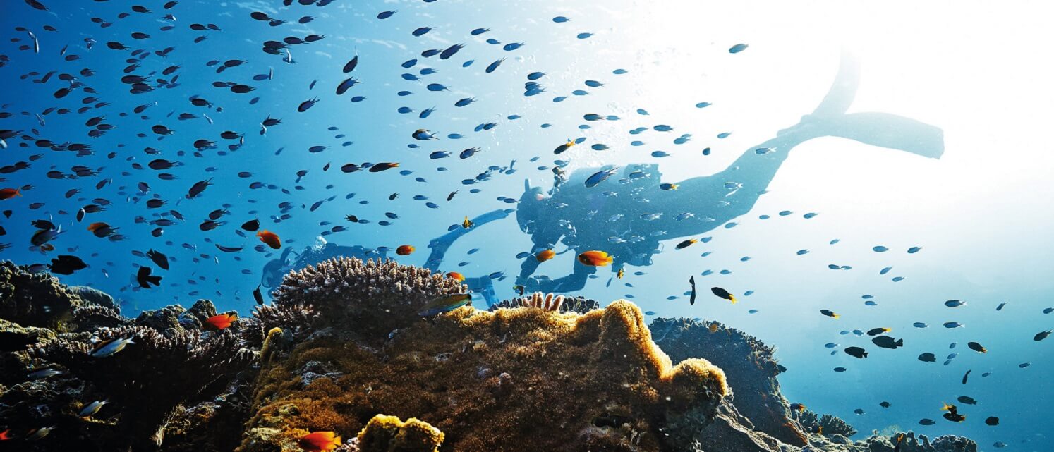 What is the best time to visit the Great Barrier Reef?