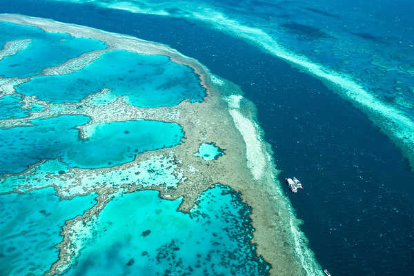 Great Barrier Reef View from Top