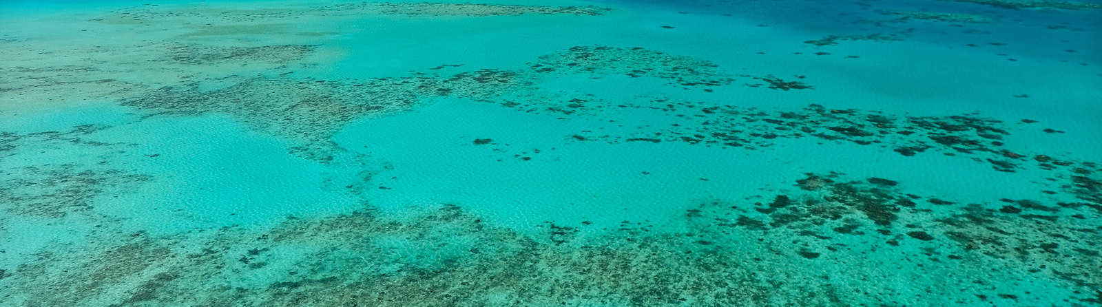 Why is the Great Barrier Reef so important?