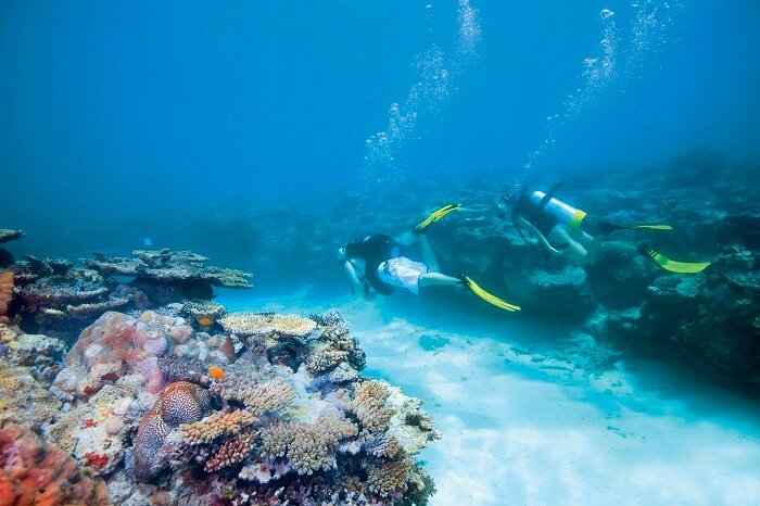 diving on the great barrier reef