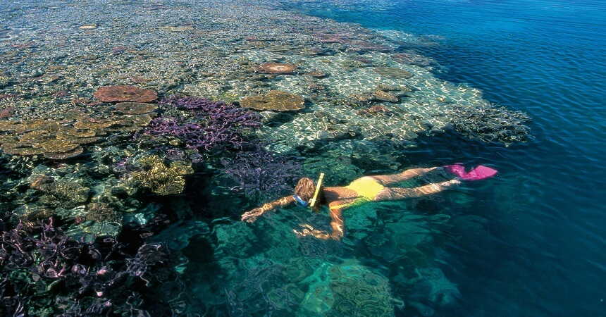 snorkeling reef