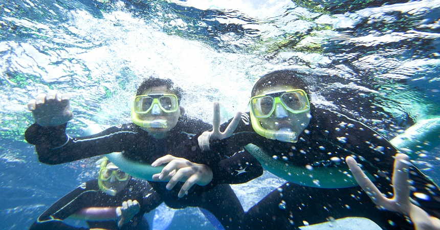 snorkeling the reef