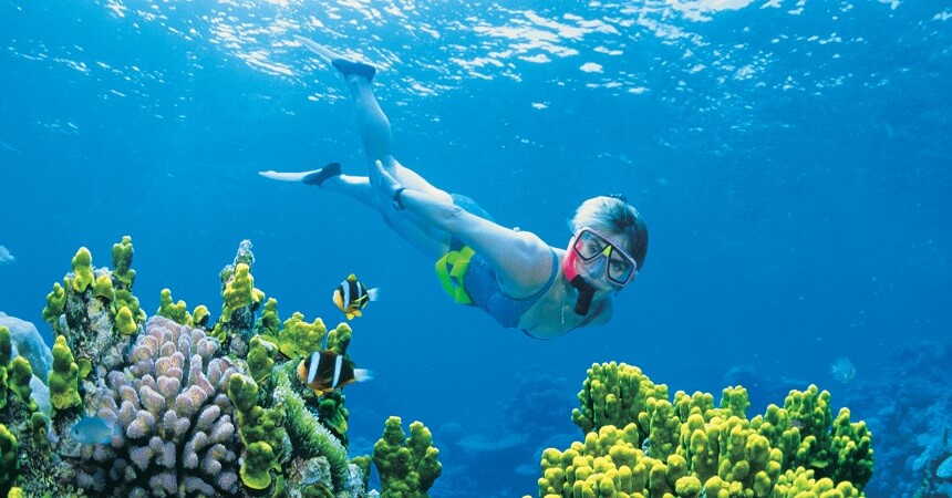 snorkelling the reef