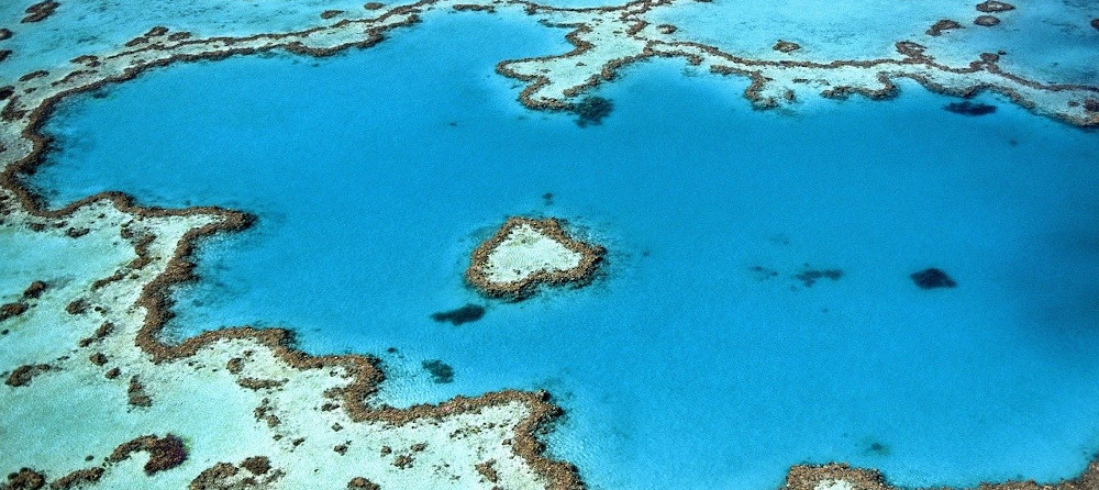 The Great Eight of the Great Barrier Reef
