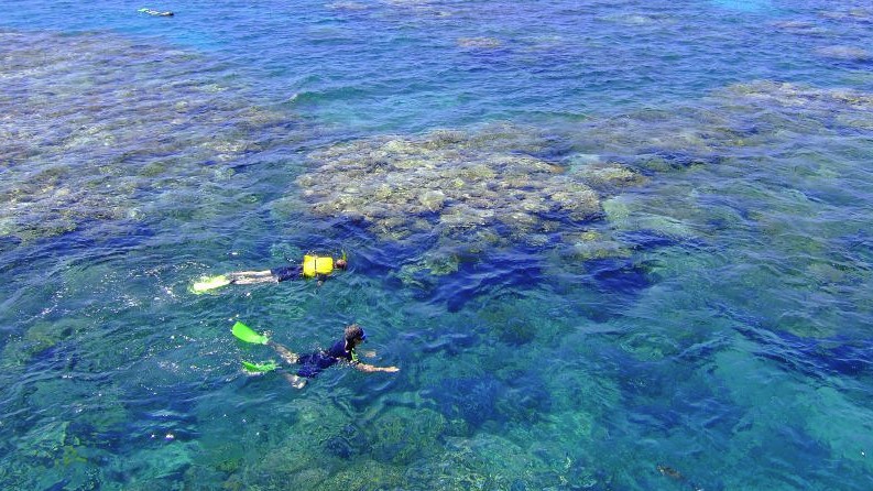 What to wear swimming on the Great Barrier Reef