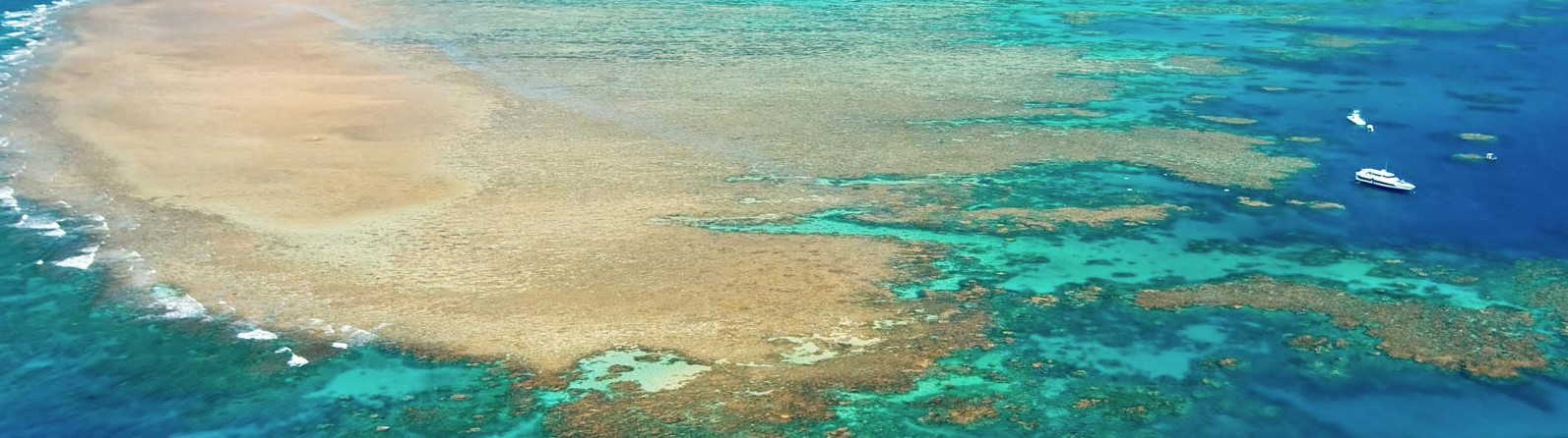 great barrier reef virtual tour