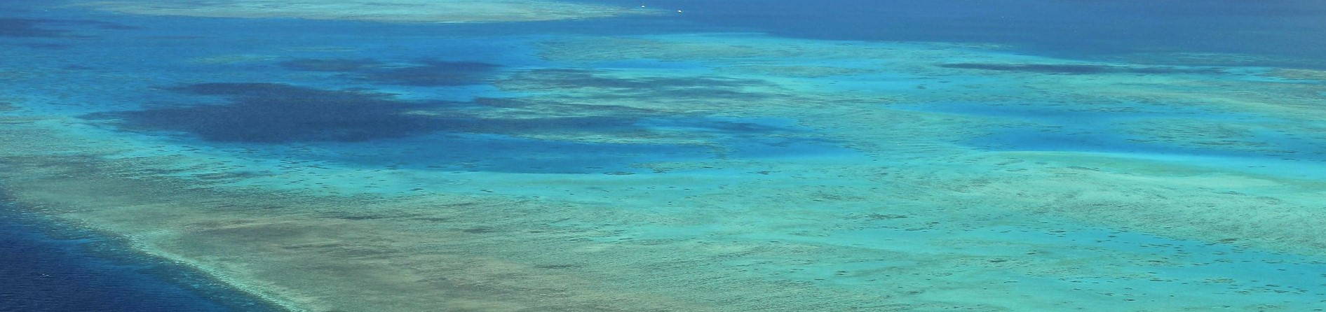What are the differences between our Great Barrier Reef Tours?