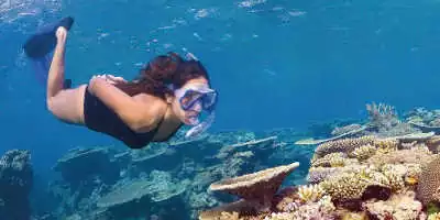 3 Day Great Barrier Reef Liveaboard Tour $715