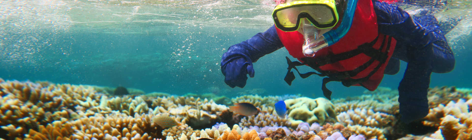 Is it safe to snorkel the Great Barrier Reef?