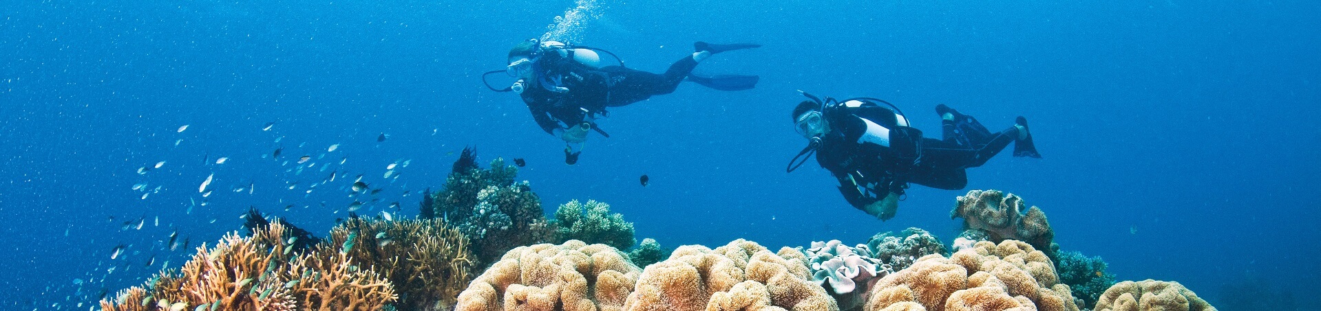 Can non-swimmers do scuba diving in the Great Barrier Reef?