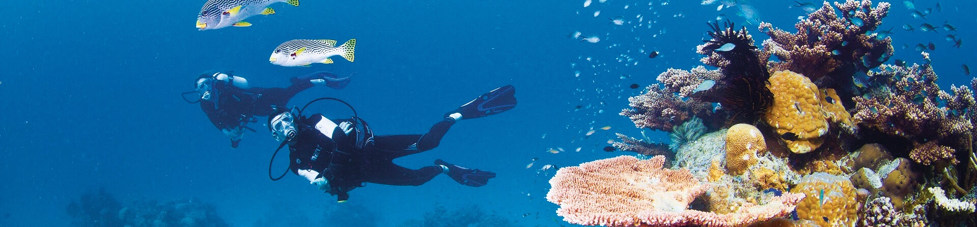 How old do you have to be to scuba dive in the Great Barrier Reef?
