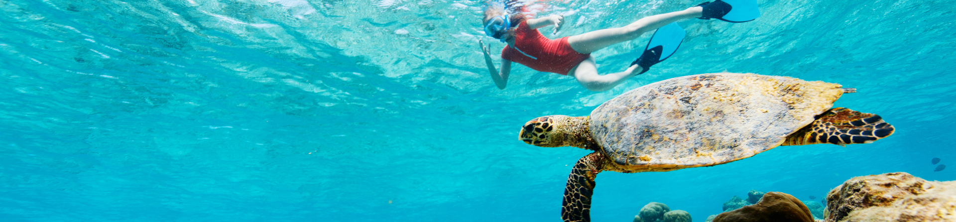 What is the best snorkelling from Cairns?
