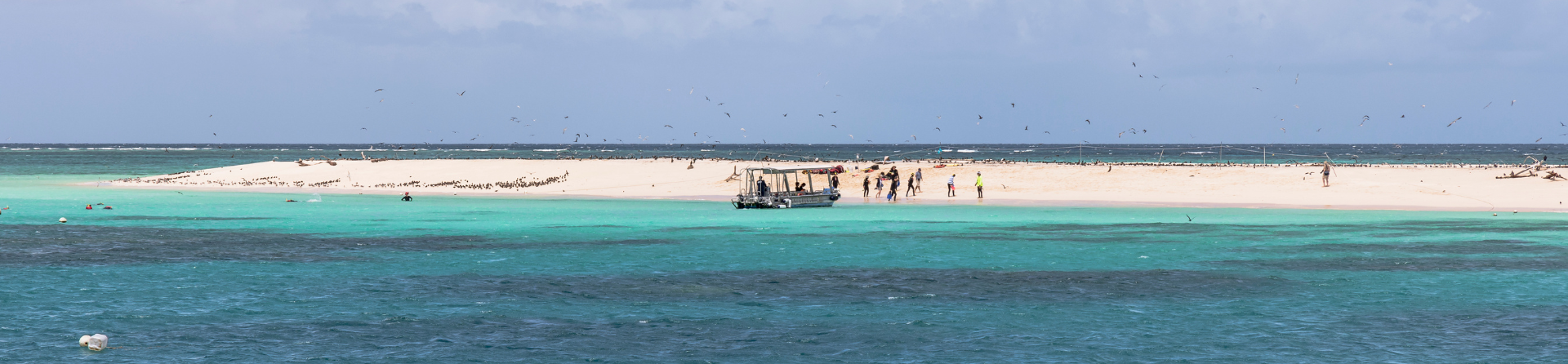 3 things to do at Michaelmas Cay