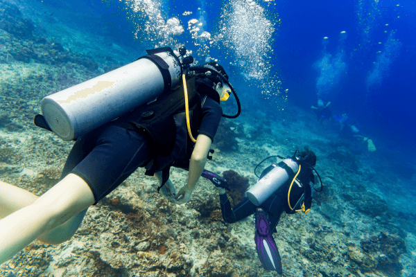 beginner friendly scuba diving