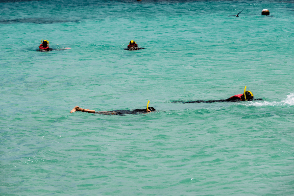 Reef snorkelling