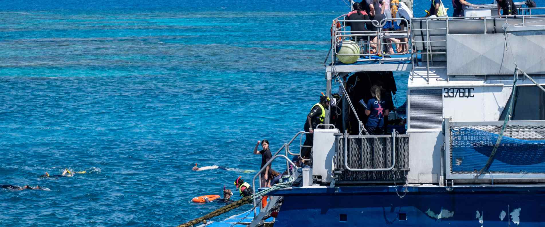 people swimming off the back of liveaboard boat