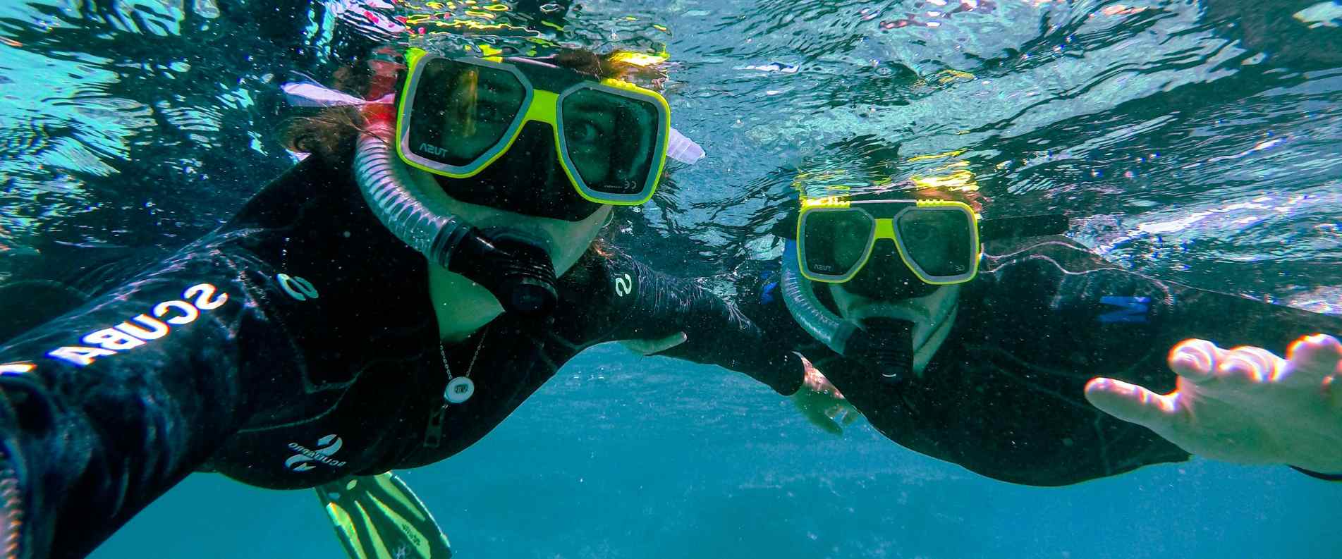 People snorkling