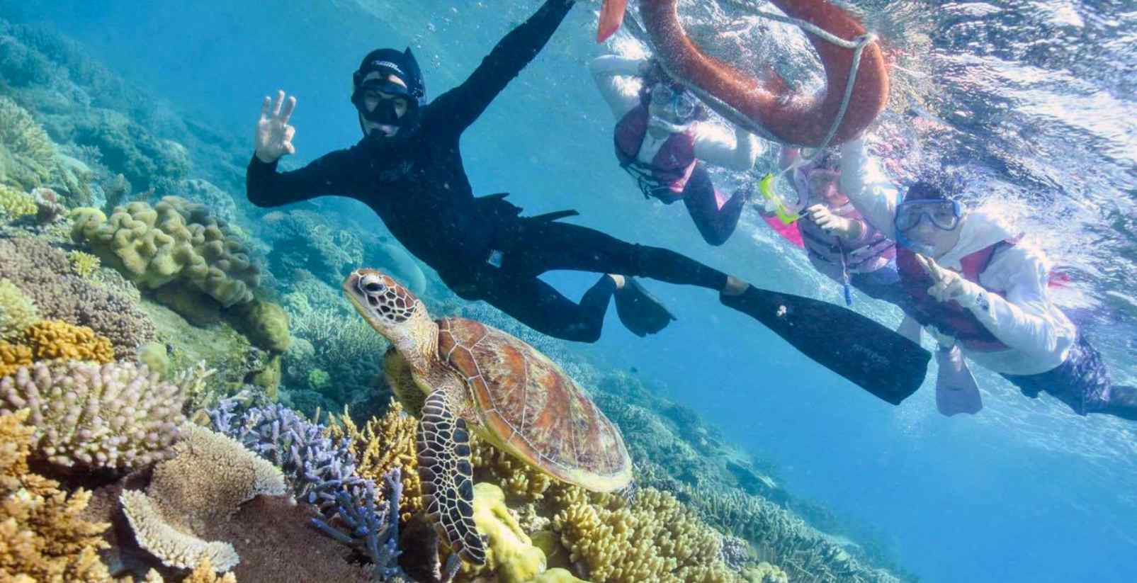Person snorkeling