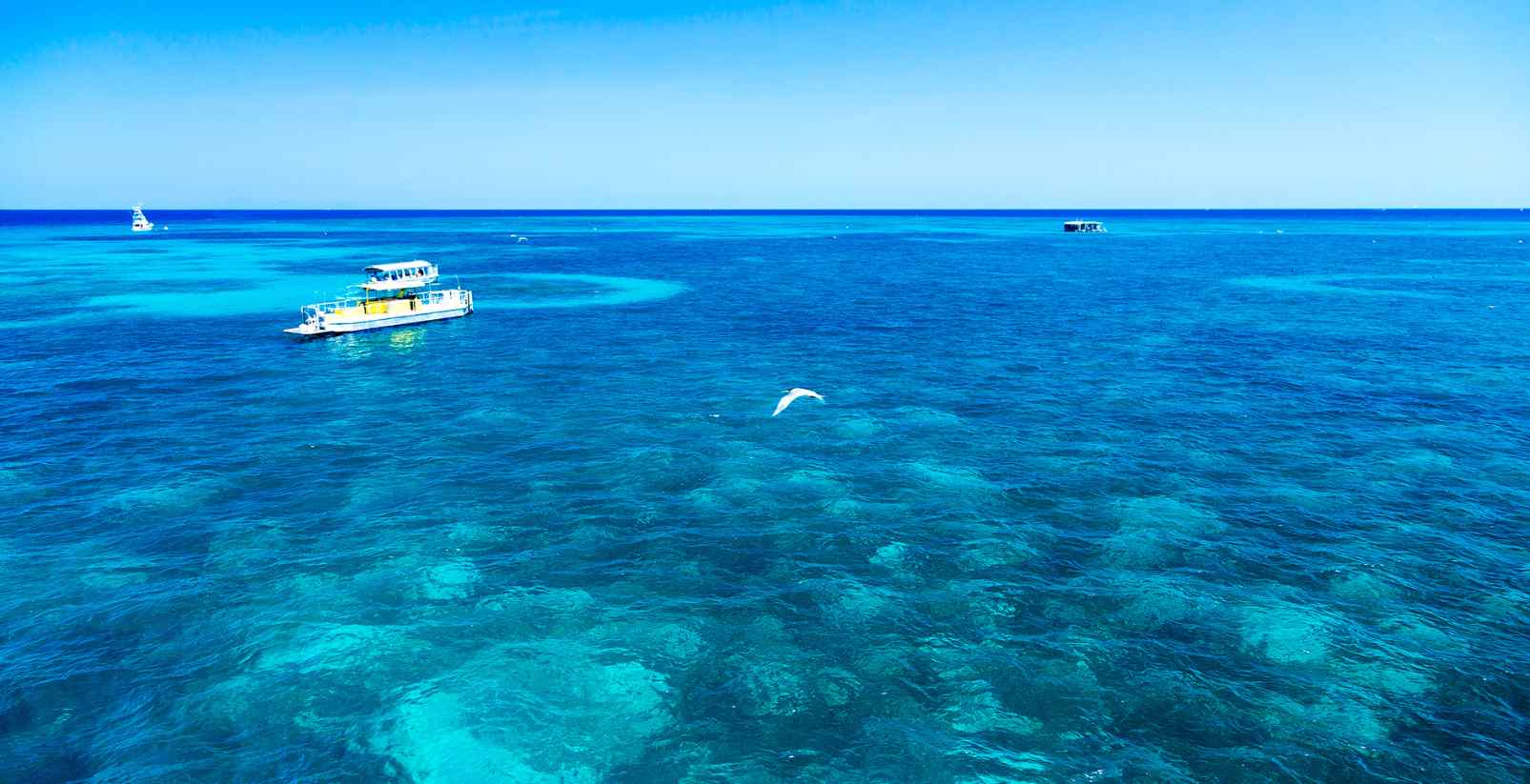 boats floating in great barrier reef