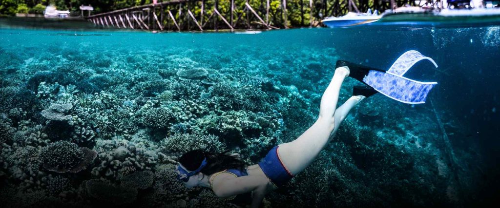 Small Group Great Barrier Reef Tour $209