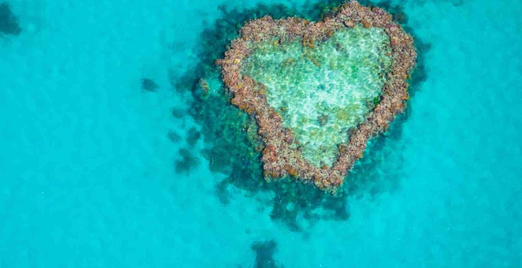 heart reef