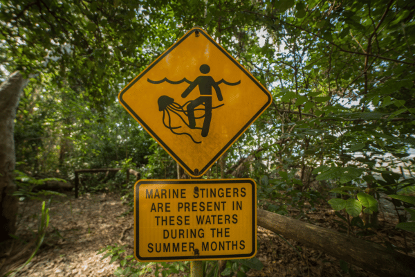 Australia Stinger Warning Sign