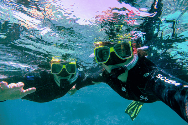 Great Barrier Reef Snorkelling