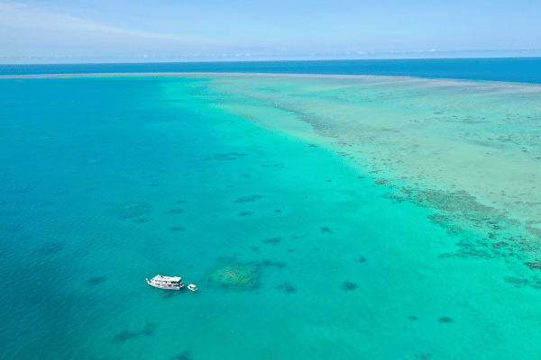 Great Barrier Reef liveaboard tour