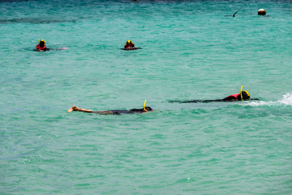 Michaelmas Cay Snorkel