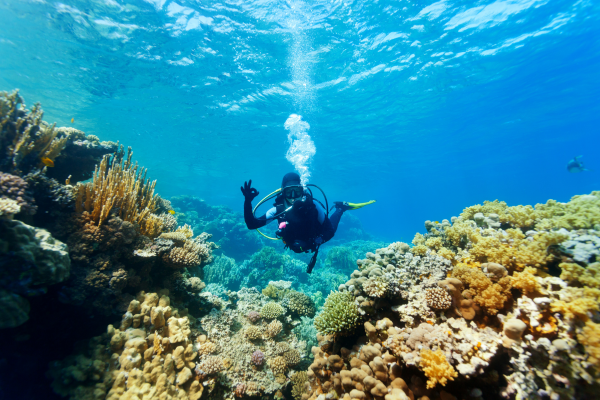 Scuba Diving