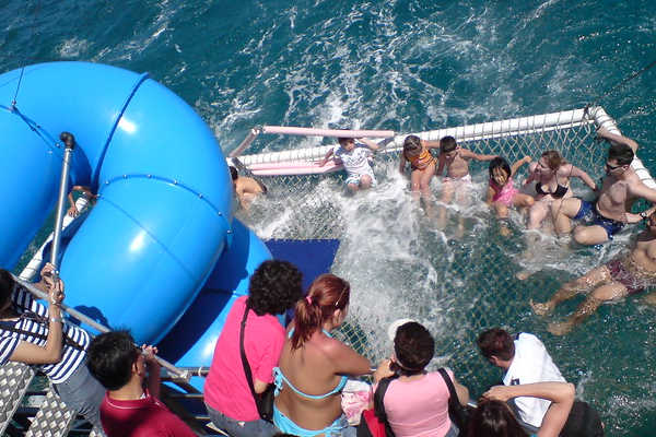 Boom Netting