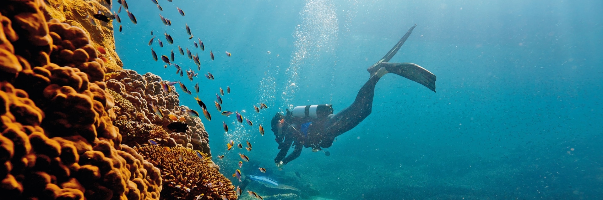 Guide to the Great Barrier Reef