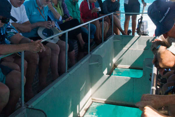Glass Bottom Boat Tour