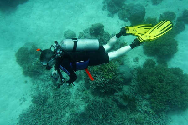 Great Barrier Reef Liveaboard Experience