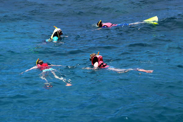 Great Barrier Reef Snorkeling