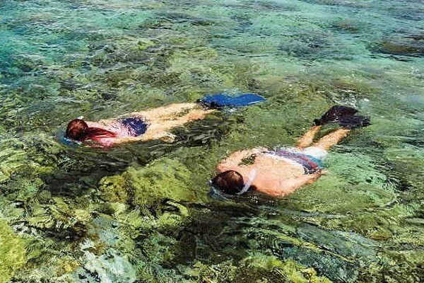 Great Barrier Reef Tour
