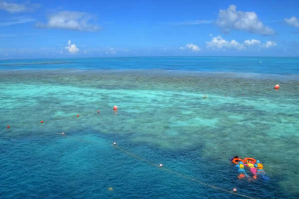Great Barrier Reef View