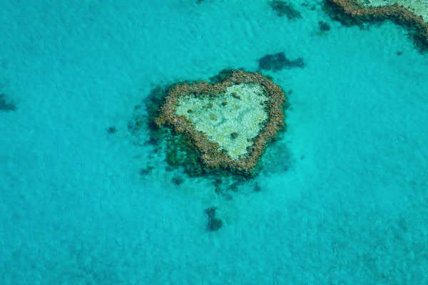 Heart Reef, Great Barrier Reef