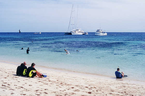 Michaelmas Cay, Cairns