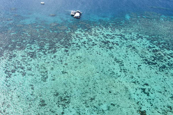 Norman Reef, Great Barrier Reef