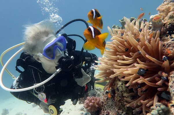 Scuba Diver with Clown Fish