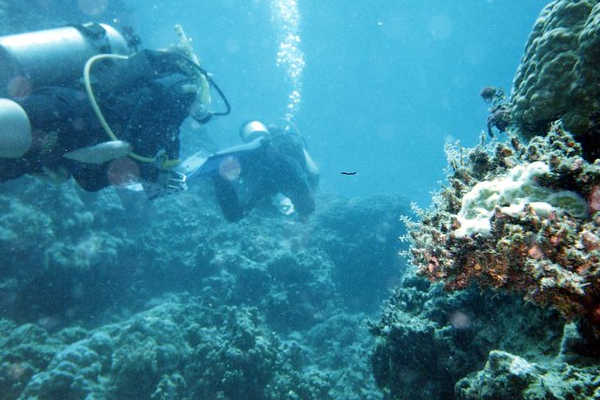 Scuba Diving