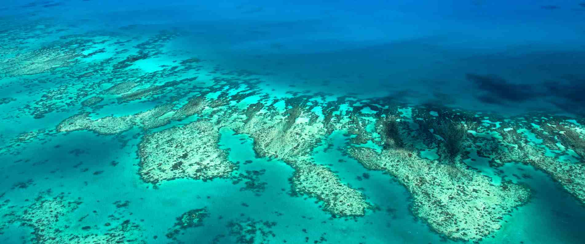 Great barrier reef
