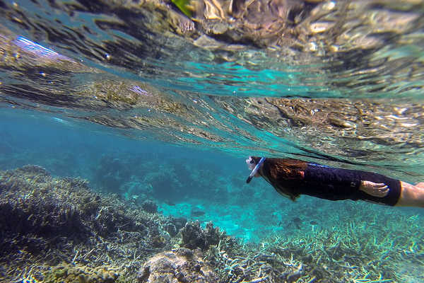 Snorkeling