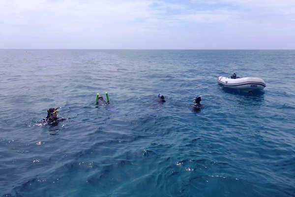 Snorkeling at Saxon Reef