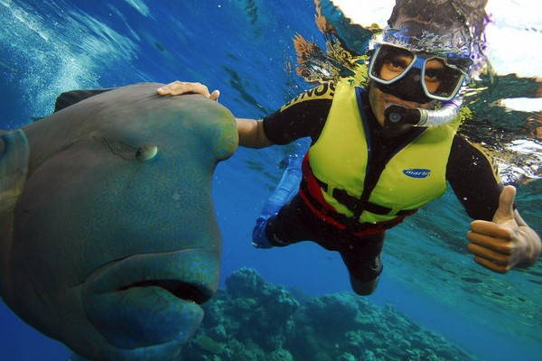Snorkelling